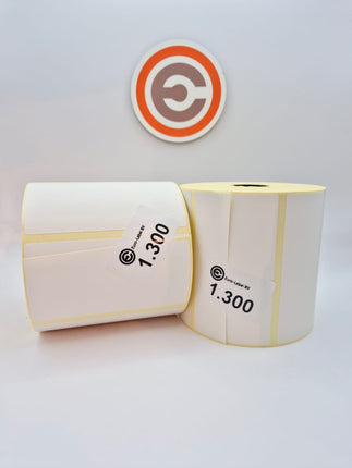 Euro-Label 100 x 50mm - Thermische Euro-Labels 1.300 per rol