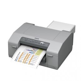 Epson labels, synthetic, 203x152mm