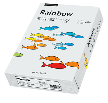 Euro-Label BV Rainbow A4 80 gram lichtgrijs, pak 500 vel
